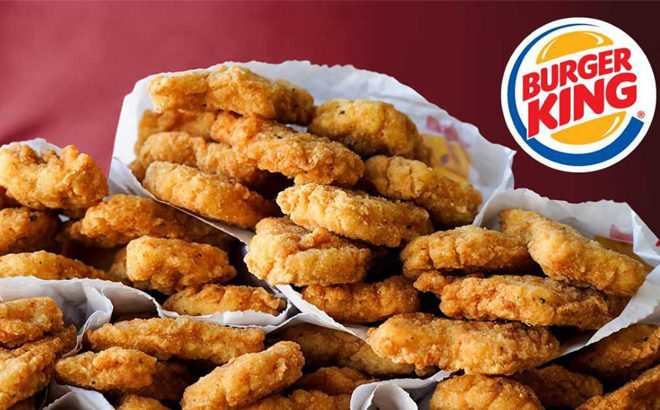 Six FREE Burger King French Fries and Ice Cream with $1 Coupon Book Purchase