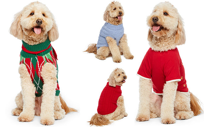 Dog Christmas Sweaters & Outfits Starting at JUST $5.59 at JCPenney - So Cute!