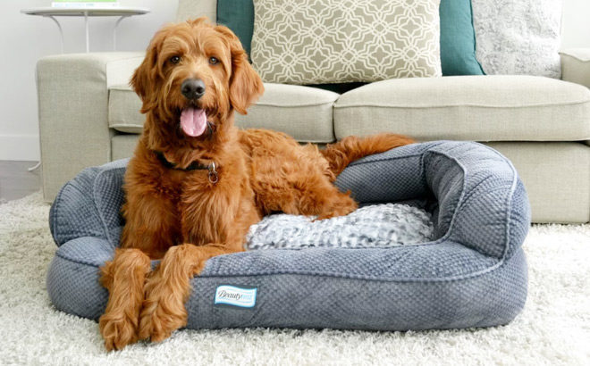 Dog Beds Sale Up to 70% Off (Starting at ONLY $14) – Many Styles to Choose from!