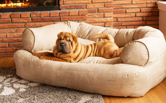 Dog Beds Sale Up to 70% Off (Starting at ONLY $15) – Many Styles to Choose from!