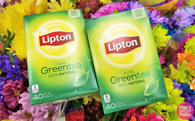 Lipton Green & Black Teas JUST $2 Each at Publix (Reg $3) - No Coupons Needed!