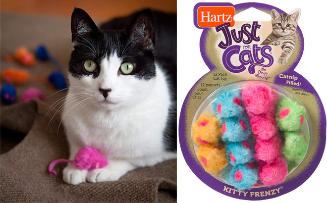 Hartz Kitty Frenzy Cat Toy 12-Pack for $2.84 (Reg $8) + FREE Shipping & More on Amazon