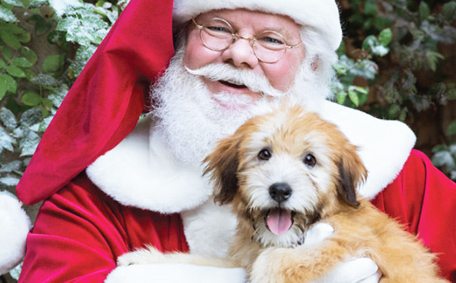 FREE Photo of Your Pet with Santa at PetSmart (December 15th & 16th Only)