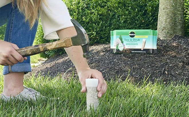 Tree & Shrub Fertilizer Spikes 12-Pack for ONLY $5.40 on Amazon - BEST Price!