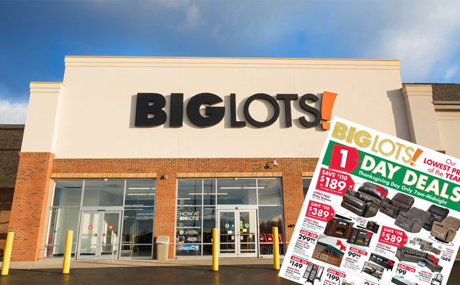 Big Lots! BLACK FRIDAY Ad 2018 (Shop the Lowest Prices During 1-Day Sale)