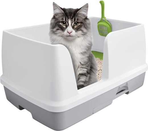 Purina Tidy Cats Hooded Litter Box System ONLY $22.50