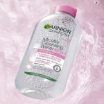 garnier22