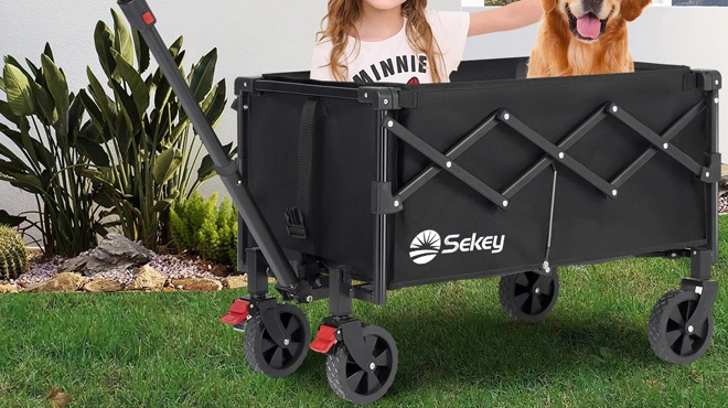 Utility Wagon Cart Black Color