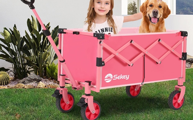 Utility Wagon Cart Pink Color